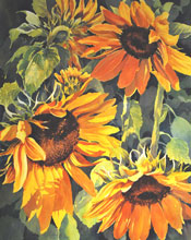 /Thumbnails/s_Summer-Sunflowers.jpg